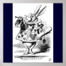Search for blankets magnets Rabbit