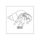 Search for crab craft supplies Crustaceans