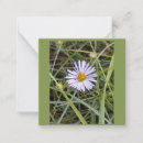 Search for writing note cards Summer