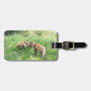 Search for carnivorous accessories Predator