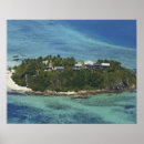 Search for fiji art View