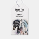 Search for stallion gift wrap Equestrian