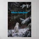 Search for snow white posters Snowy landscape
