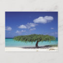 Search for aruba vacation postcards Sea