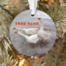 Search for snow goose christmas tree decorations Geese
