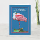 Search for spoonbill cards Nature