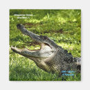 Search for wetlands magnets Florida