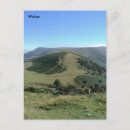 Search for dragon postcards National