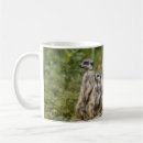 Search for cute meerkat mugs Meerkats