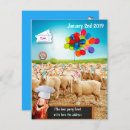 Search for sheep birthday invitations Funny