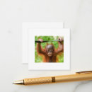 Search for apes stamps invitations Orangutan