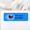 Search for easter funny labels Chicken