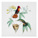 Search for antique bird nest posters Floral