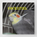 Search for cockatiel art Animal