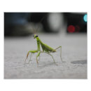 Search for micro art Green