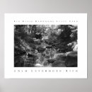 Search for big tree art Redwood