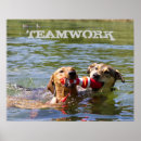 Search for teamwork posters Dog