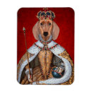 Search for dachshund magnets Animals