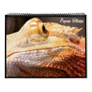 Search for reptile calendars Pets