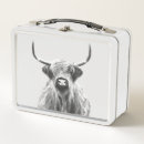 Search for cow lunch boxes Highland