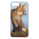 Search for vulpes Nwr