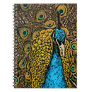 Search for peacock notebooks Illustration