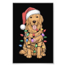 Search for golden retriever christmas art Xmas