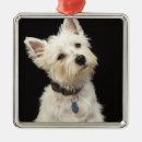 Search for westie christmas tree decorations Animal