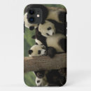 Search for baby panda iphone cases China
