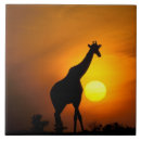 Search for giraffe tiles Sunset