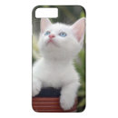 Search for white kitten iphone cases Cat
