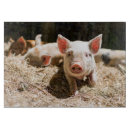 Search for pig chopping boards Farm