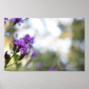 Search for purple flower posters Beautiful