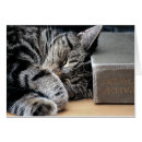 Search for reading photography Cat