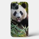 Search for giant ipad cases China