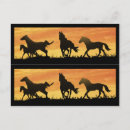 Search for mustangs postcards Wildlife