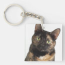 Search for cat hair key rings Cats