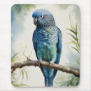 Search for parakeet electronics Parrot
