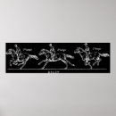 Search for animal skeleton posters Anatomy