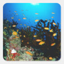 Search for goldy stickers Animal