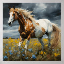Search for pinto posters Horse