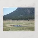 Search for estes park postcards Elk