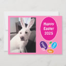 Search for dog easter cards Humour