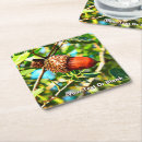 Search for acorn coasters Tree