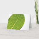 Search for figs cards Green