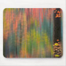 Search for maple trees mouse mats Big leaf maple