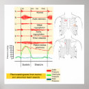 Search for heartbeat art Medical
