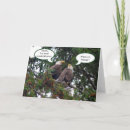 Search for bald eagle birthday cards Funny