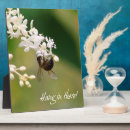 Search for motivational plaques Nature