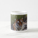 Search for baby tiger mugs Feline